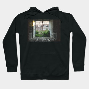 Decay Hoodie